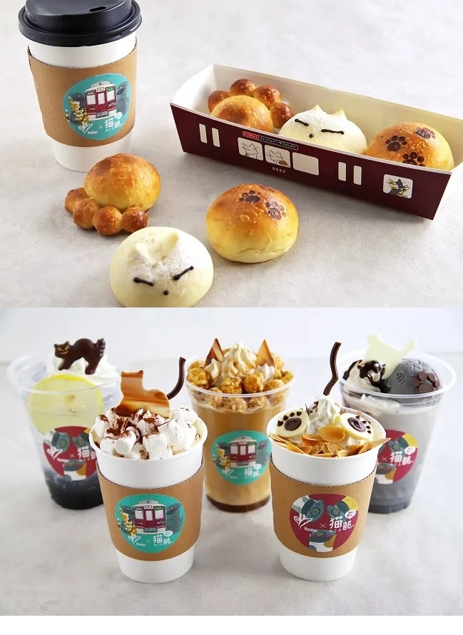 TOOTH TOOTH FISH IN THE FOREST